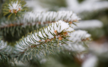 Untitled-design_1764251197690